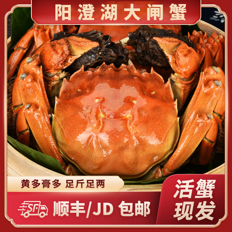 大闸蟹958型