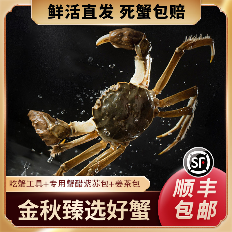 大闸蟹768型